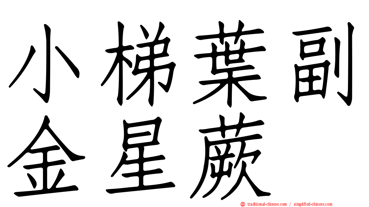 小梯葉副金星蕨