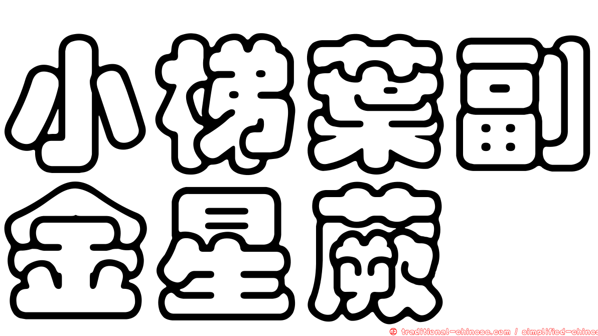 小梯葉副金星蕨