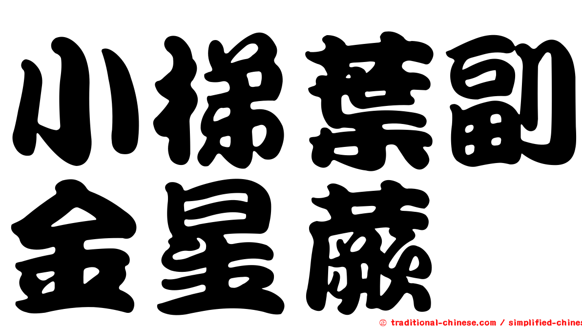 小梯葉副金星蕨