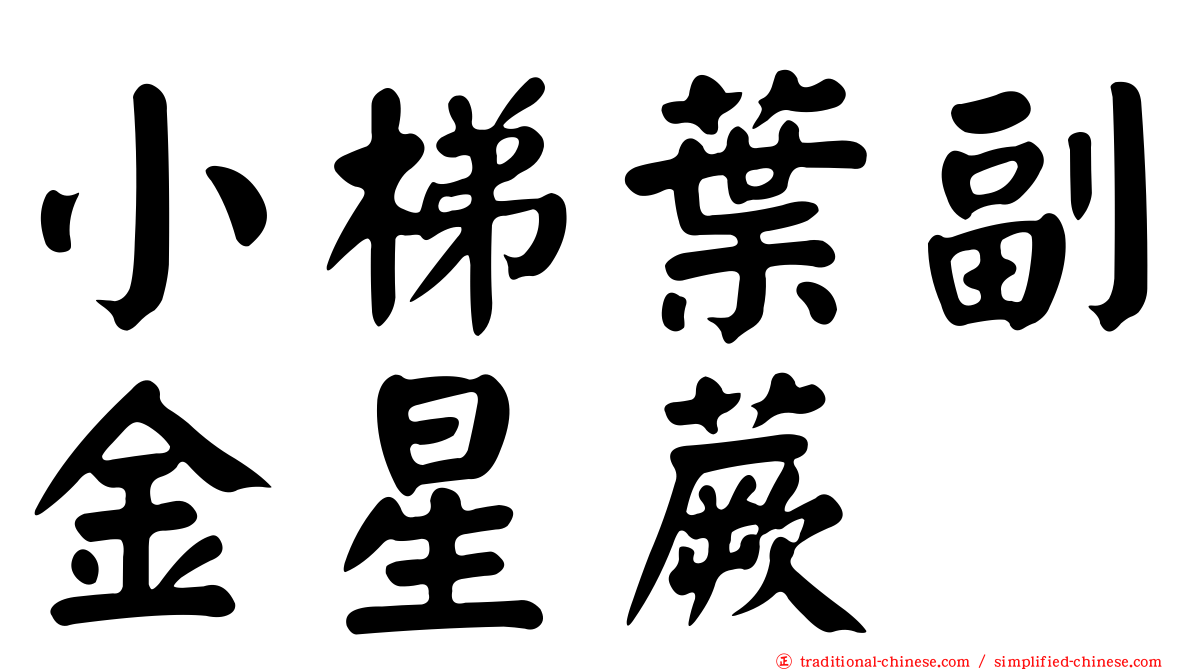 小梯葉副金星蕨
