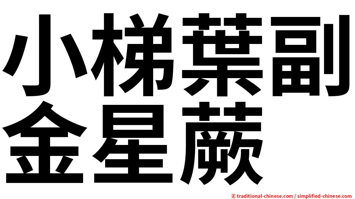 小梯葉副金星蕨