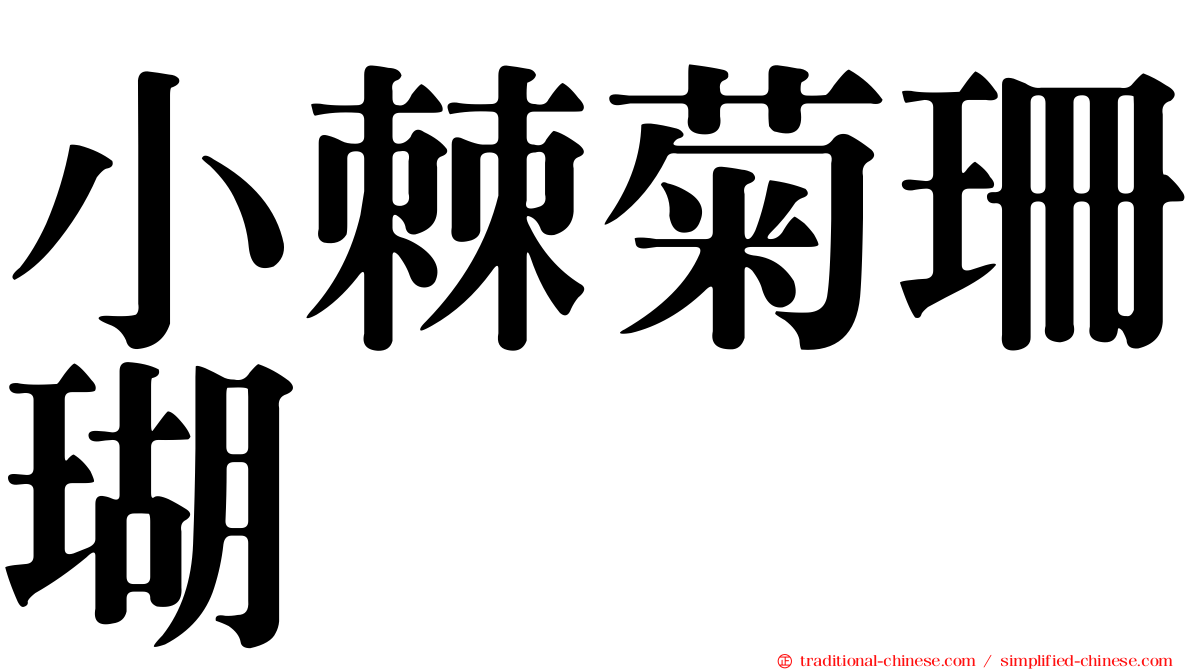 小棘菊珊瑚