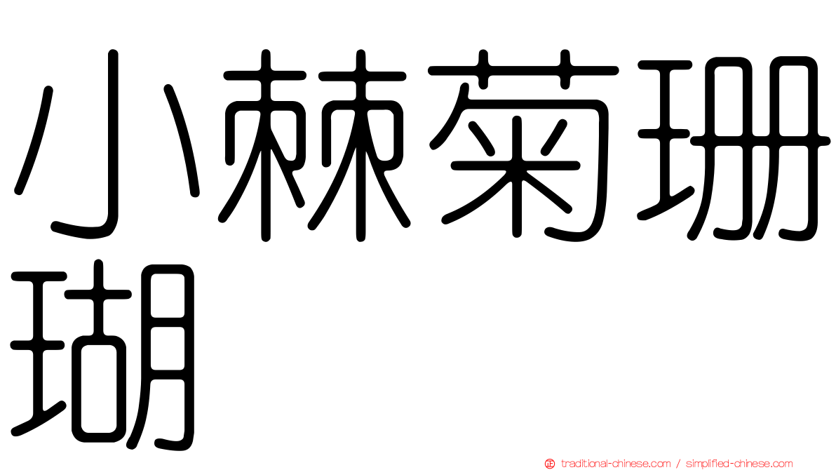 小棘菊珊瑚