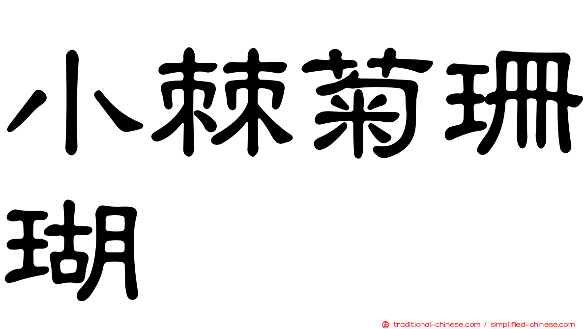 小棘菊珊瑚