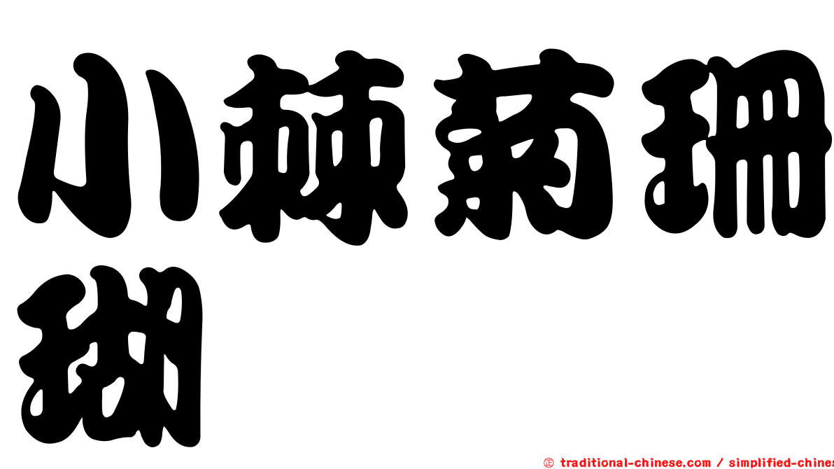 小棘菊珊瑚