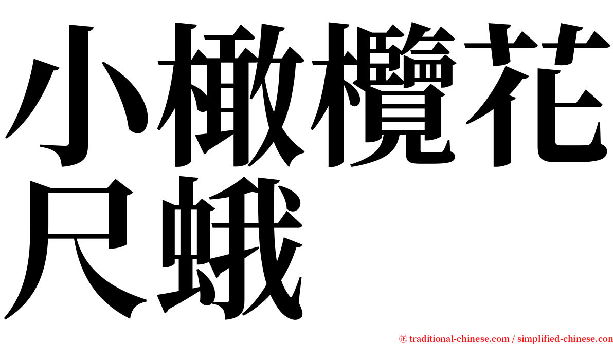 小橄欖花尺蛾 serif font