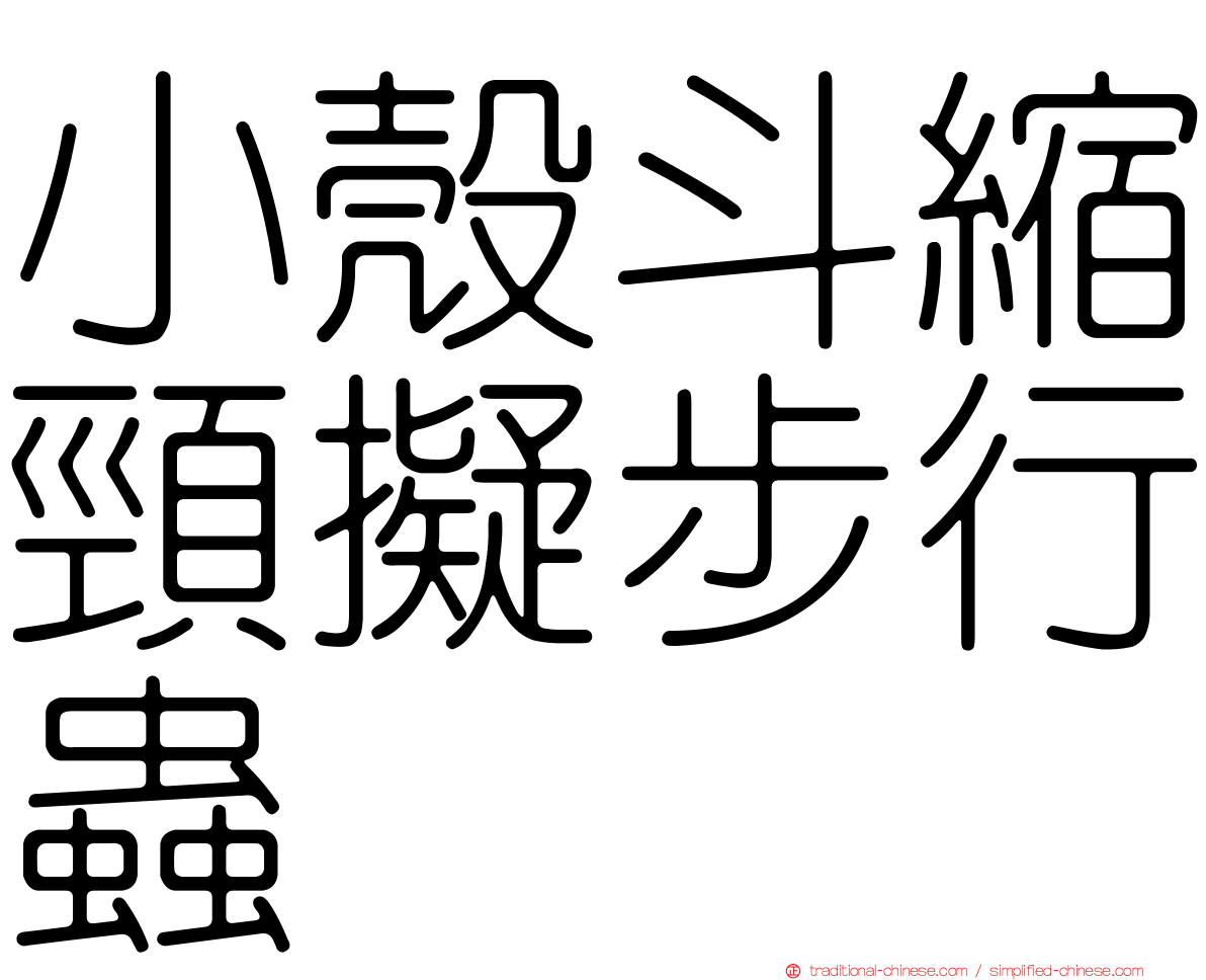 小殼斗縮頸擬步行蟲