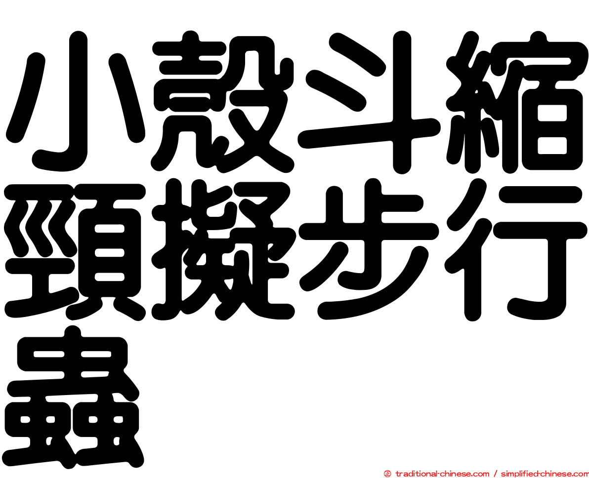 小殼斗縮頸擬步行蟲