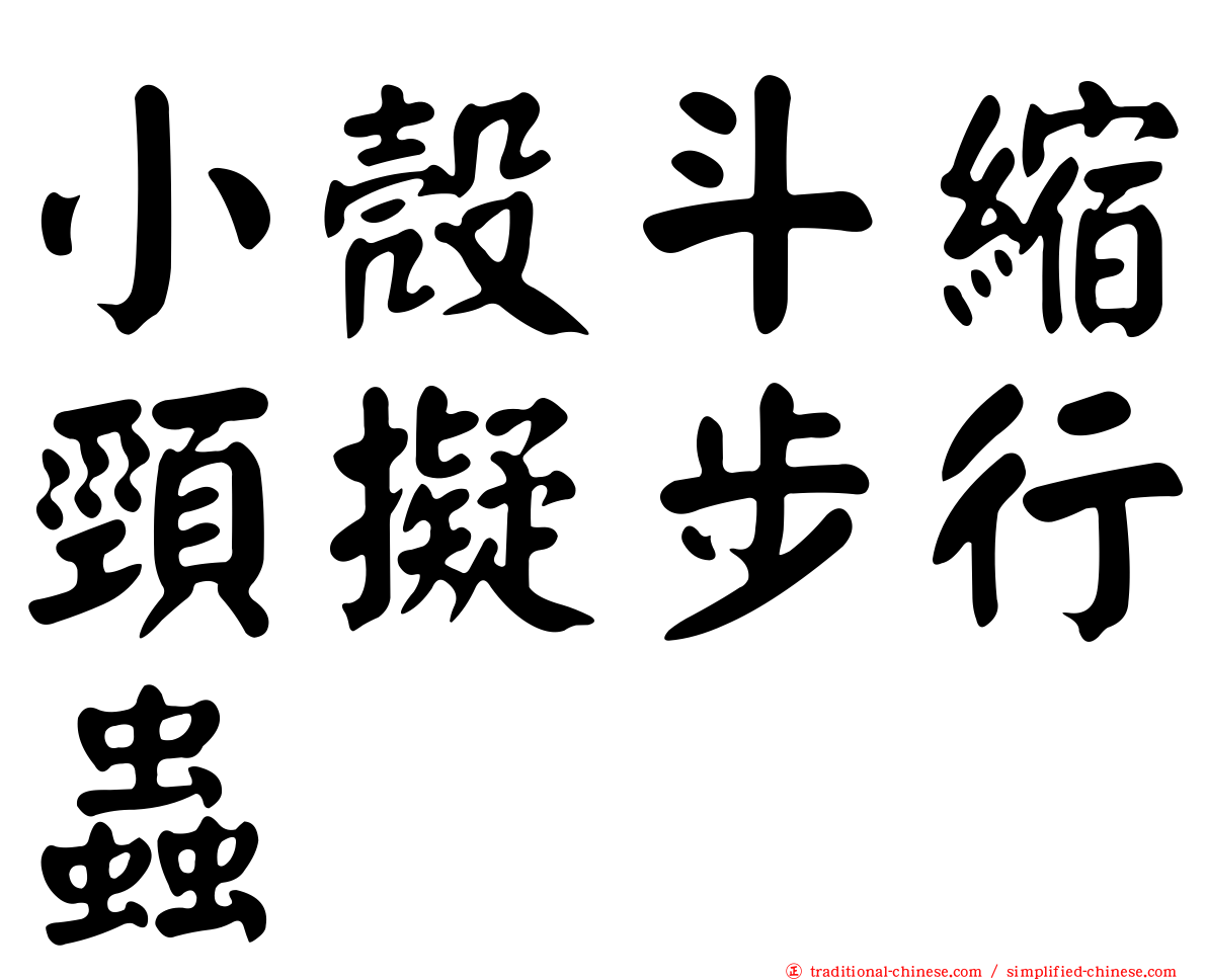 小殼斗縮頸擬步行蟲