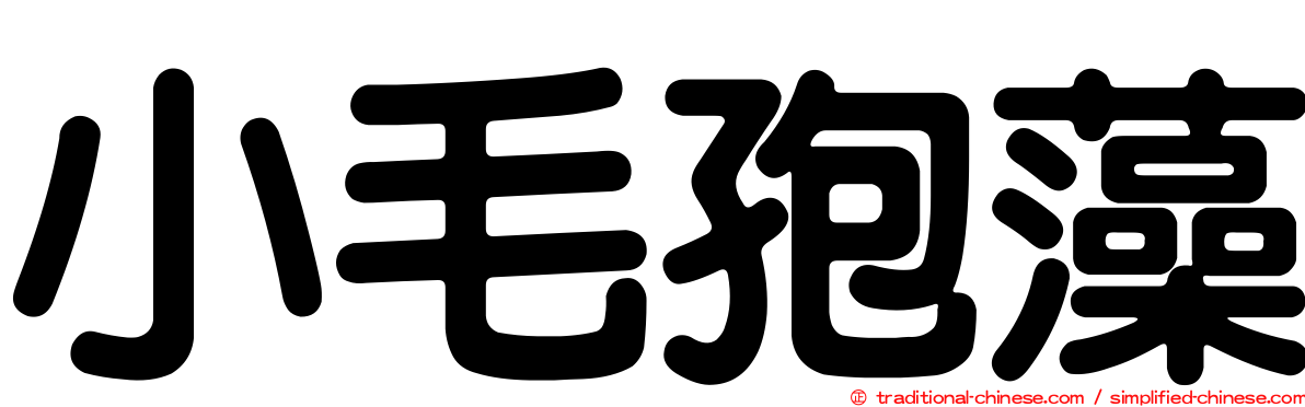 小毛孢藻