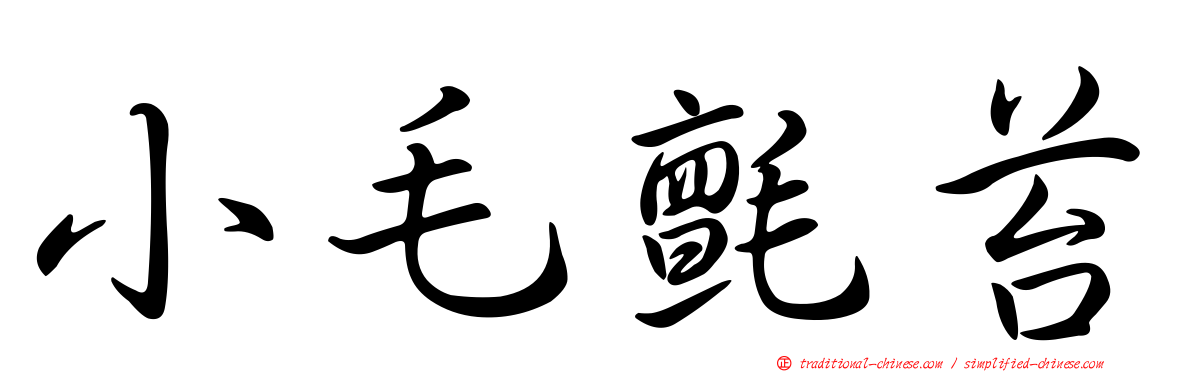 小毛氈苔