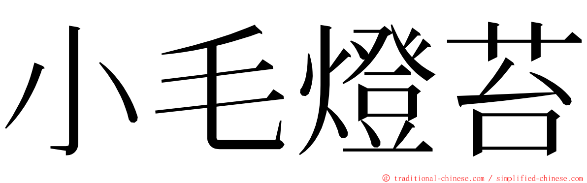 小毛燈苔 ming font