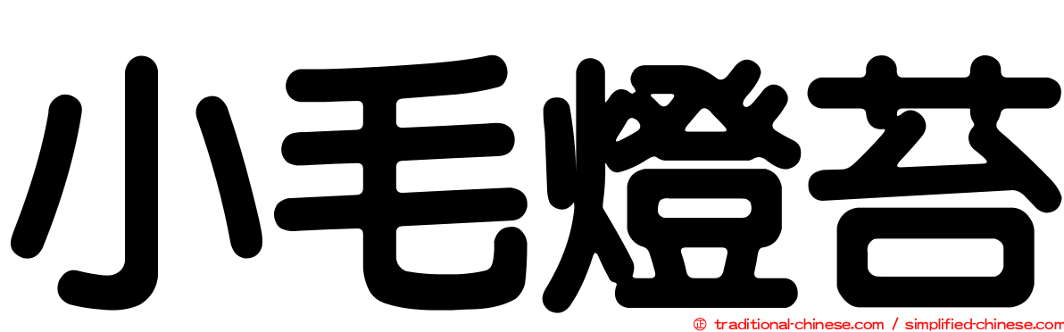 小毛燈苔