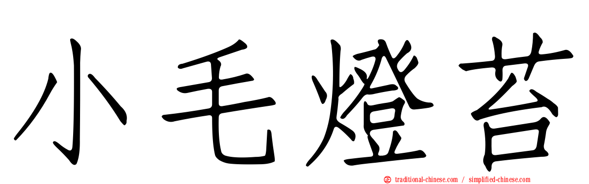 小毛燈苔