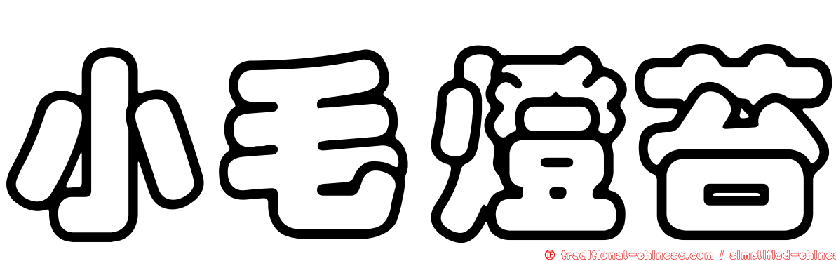 小毛燈苔