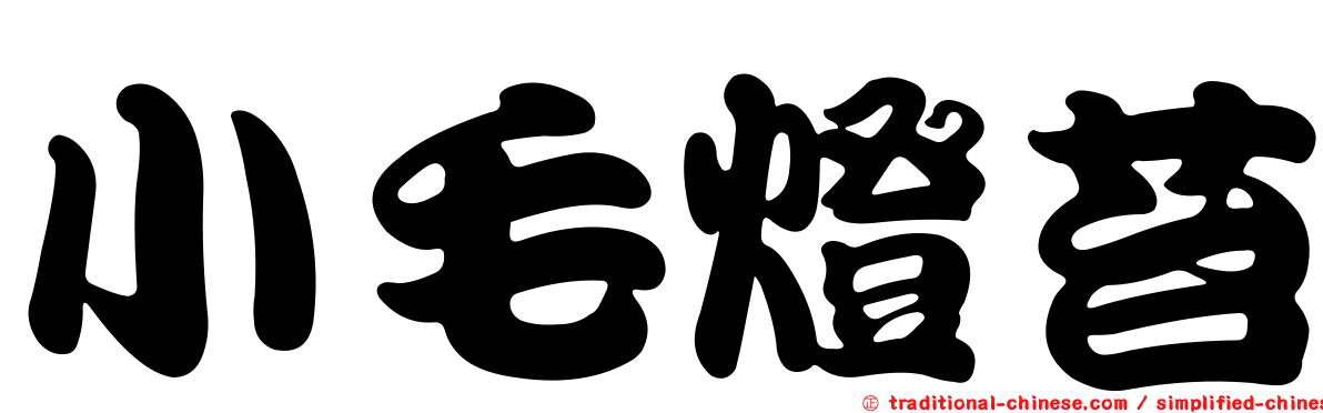 小毛燈苔