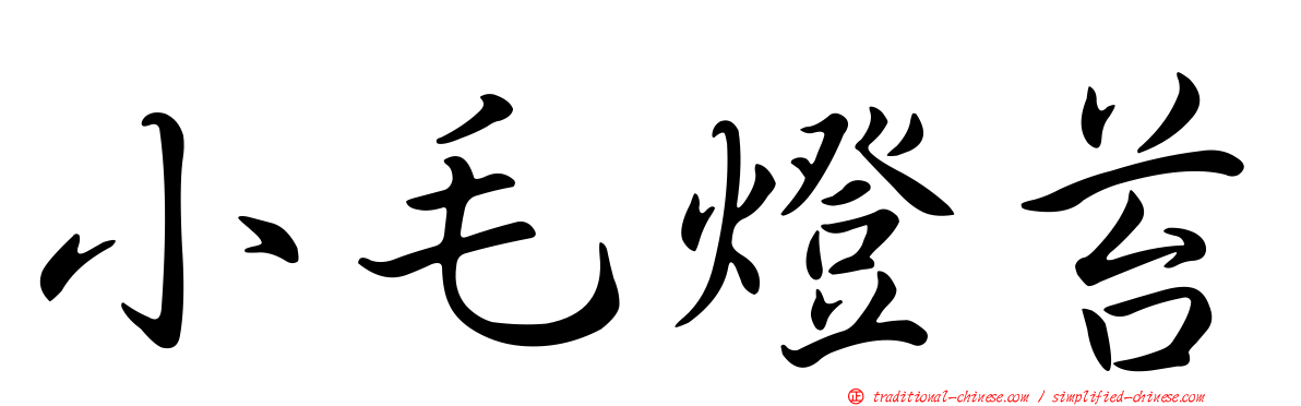 小毛燈苔