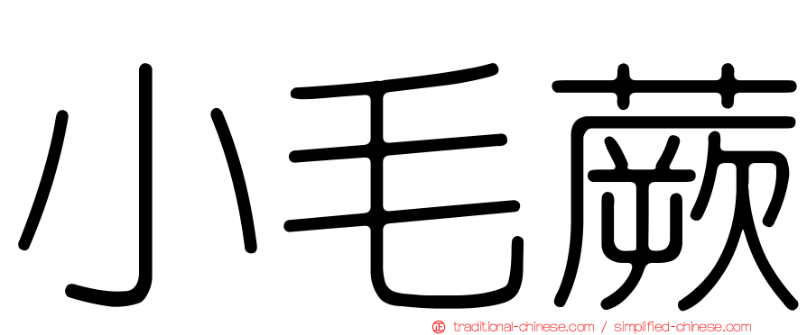 小毛蕨