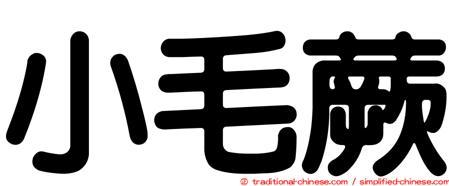 小毛蕨
