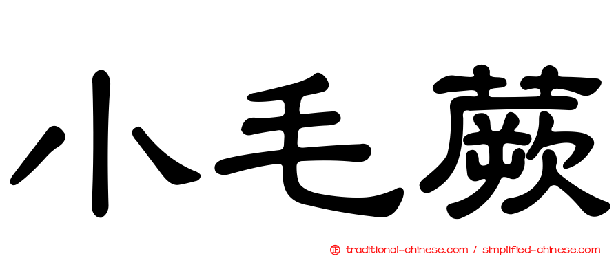 小毛蕨