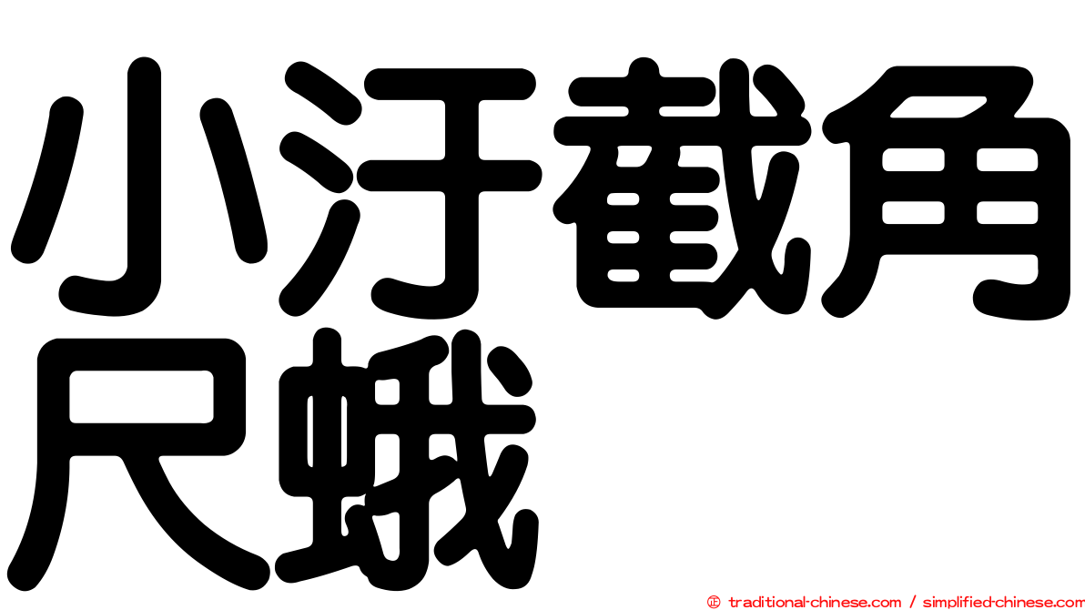 小汙截角尺蛾