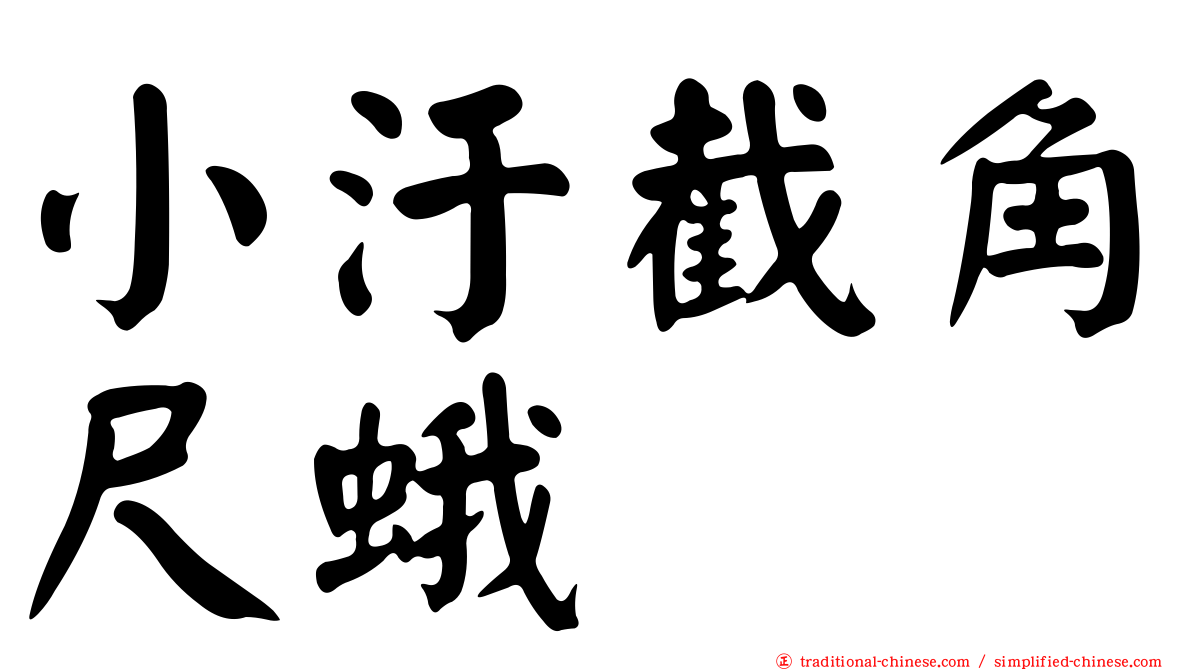 小汙截角尺蛾