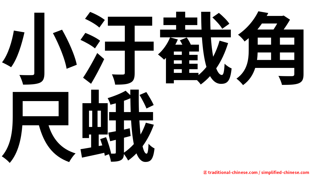 小汙截角尺蛾
