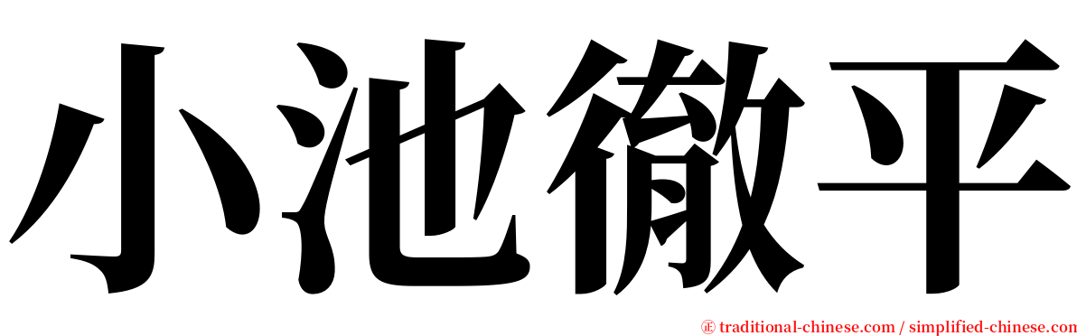 小池徹平 serif font