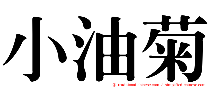 小油菊