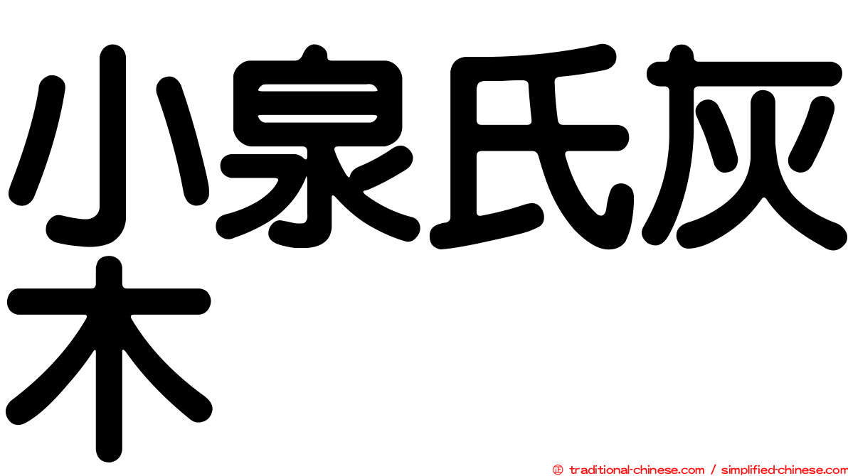 小泉氏灰木
