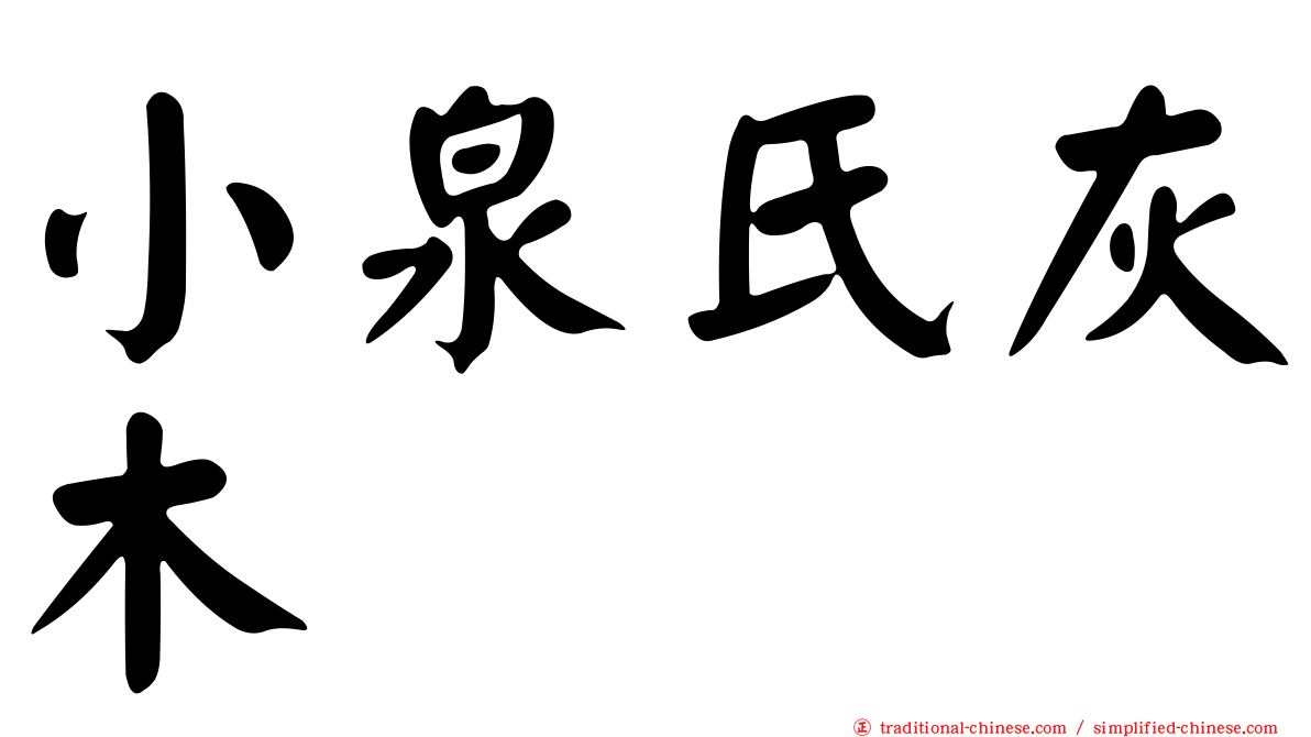 小泉氏灰木