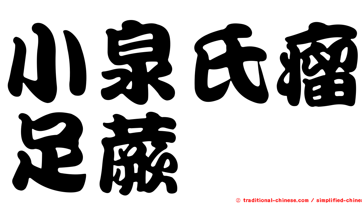 小泉氏瘤足蕨