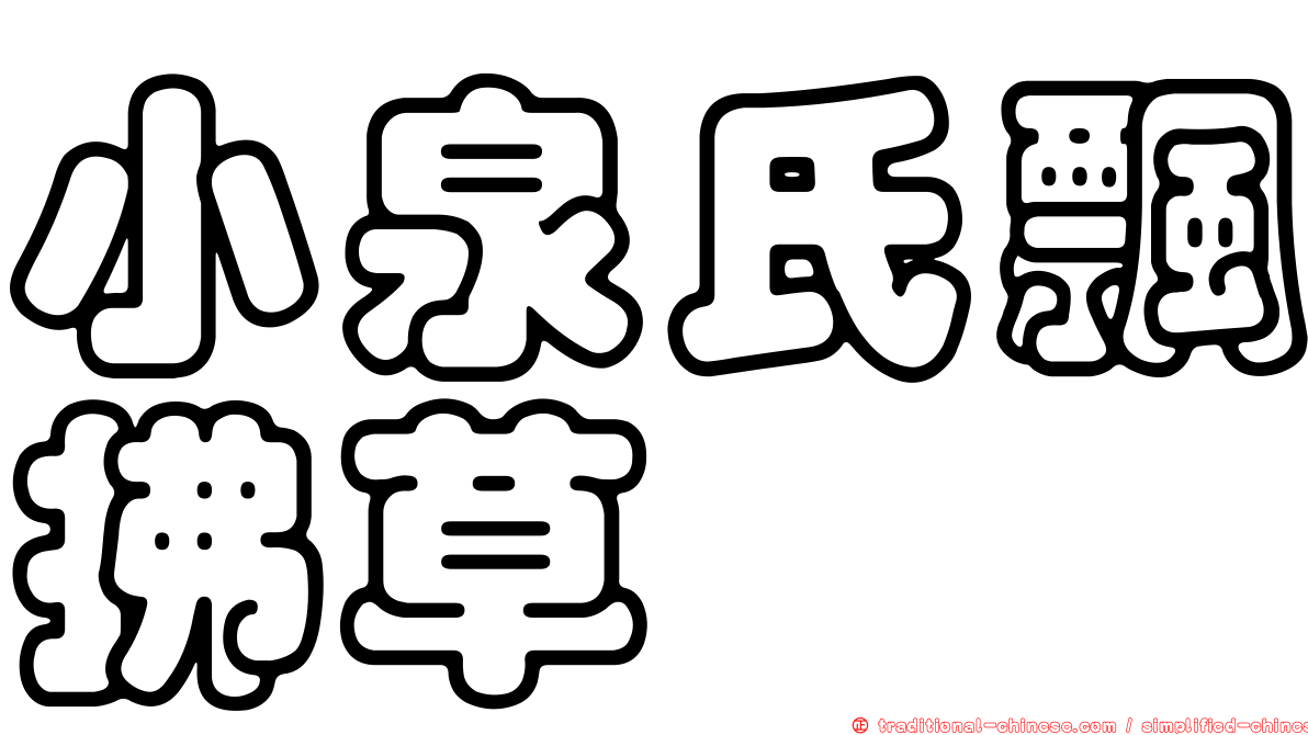 小泉氏飄拂草