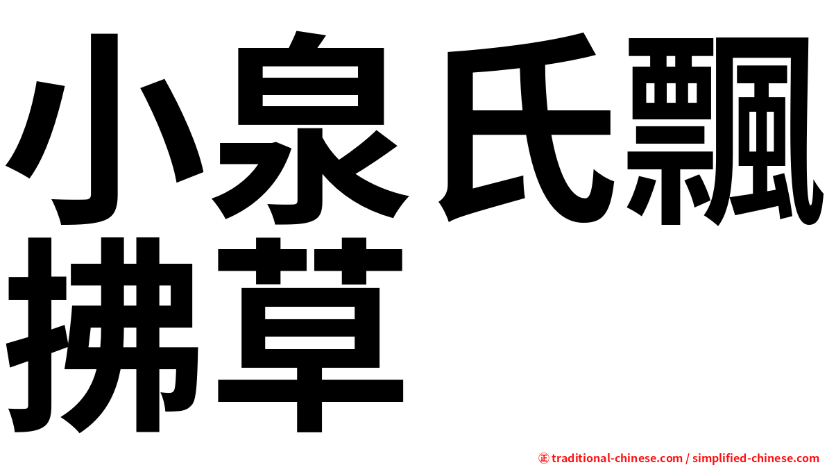 小泉氏飄拂草