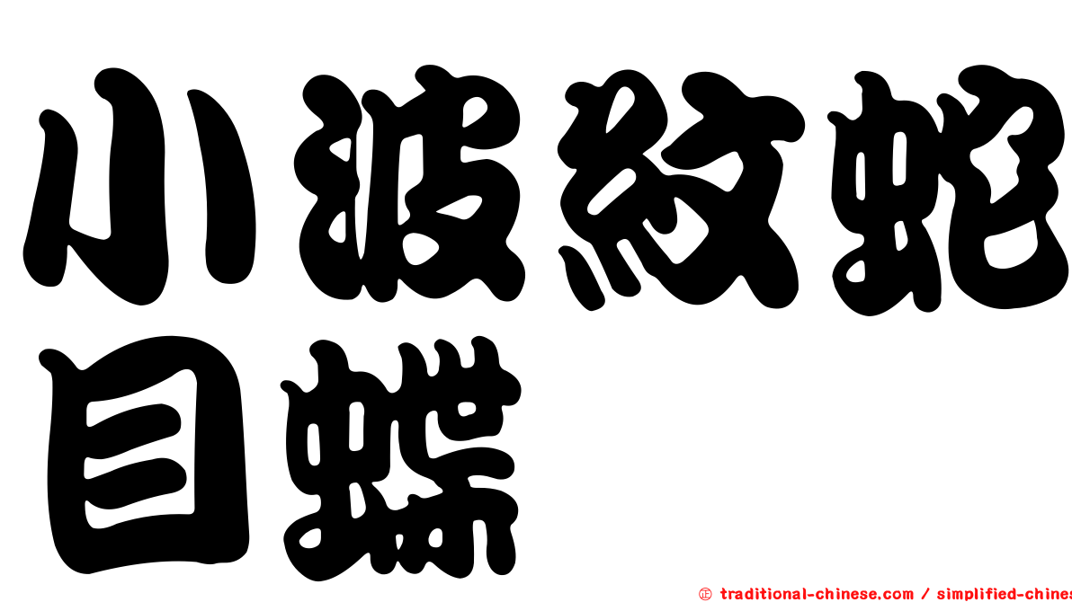 小波紋蛇目蝶