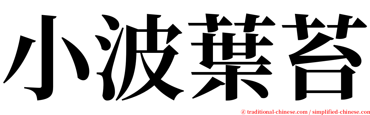 小波葉苔 serif font