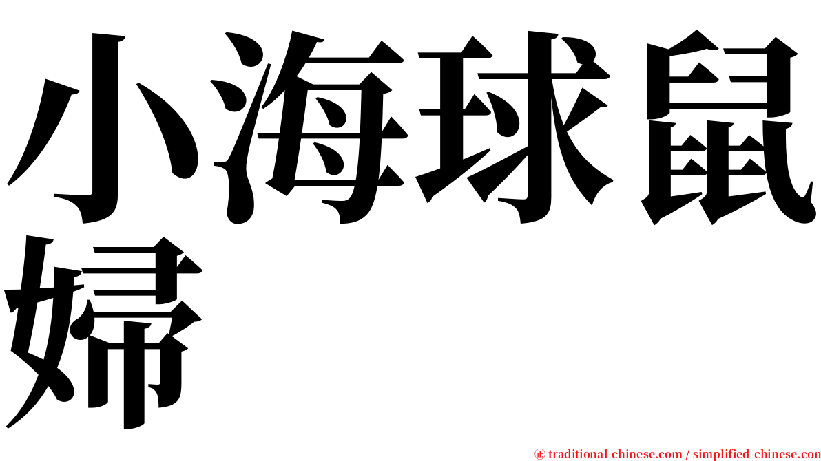 小海球鼠婦 serif font
