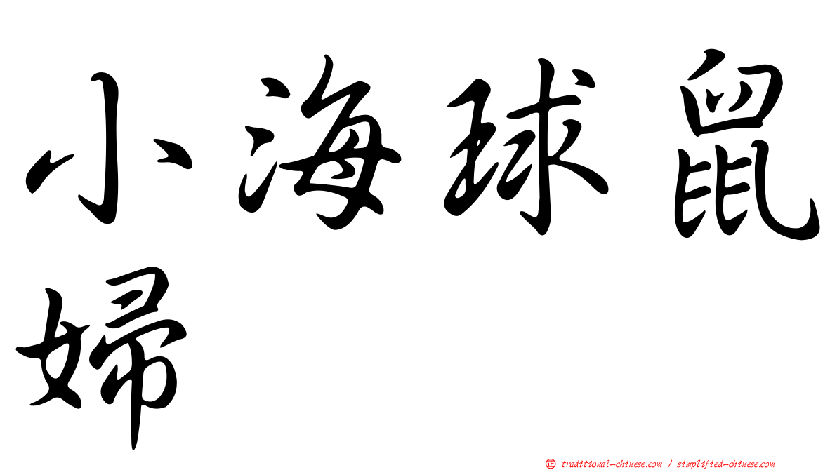 小海球鼠婦