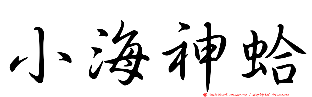 小海神蛤