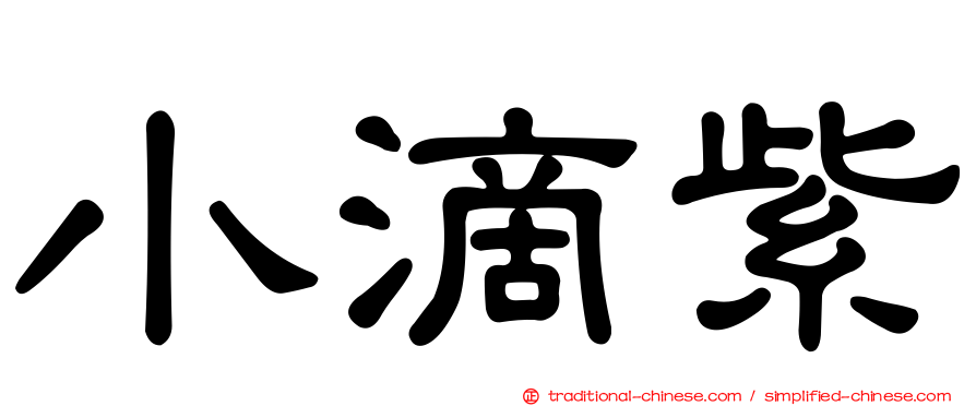小滴紫