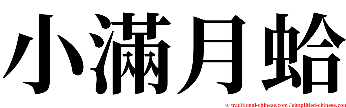 小滿月蛤 serif font
