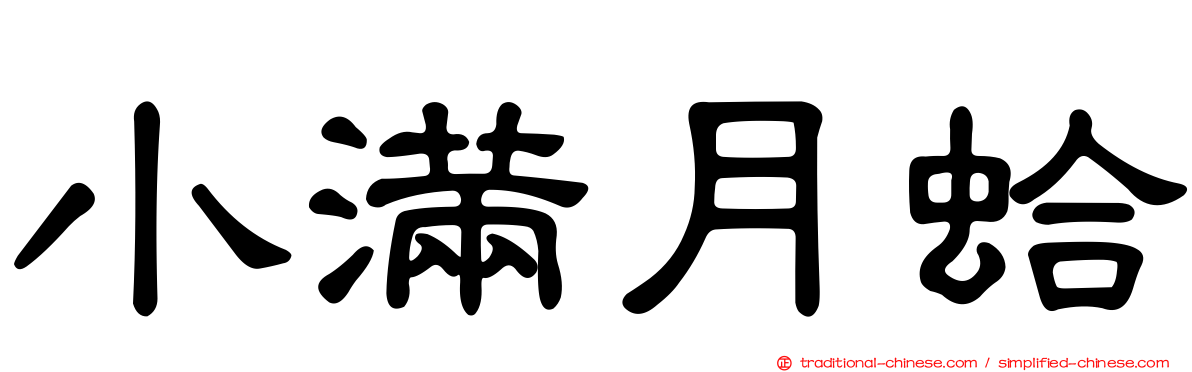 小滿月蛤