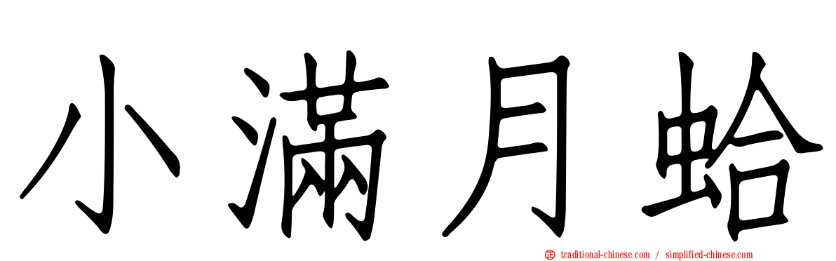 小滿月蛤