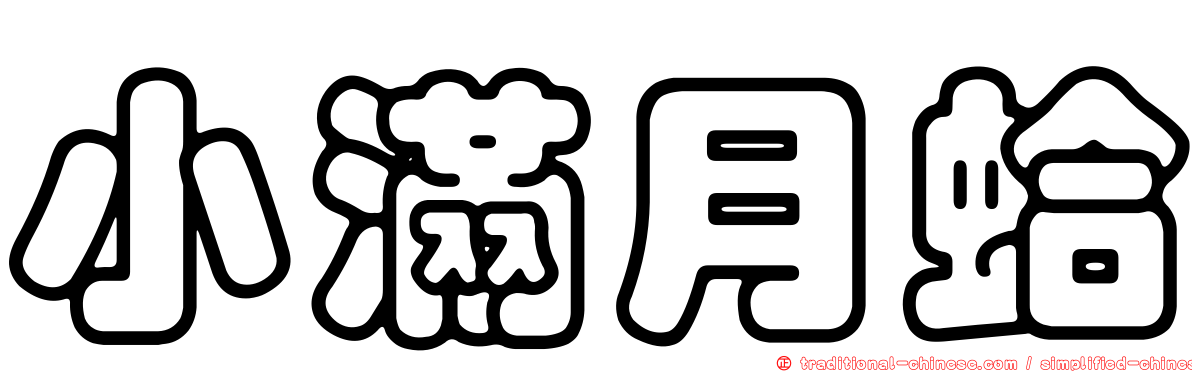 小滿月蛤