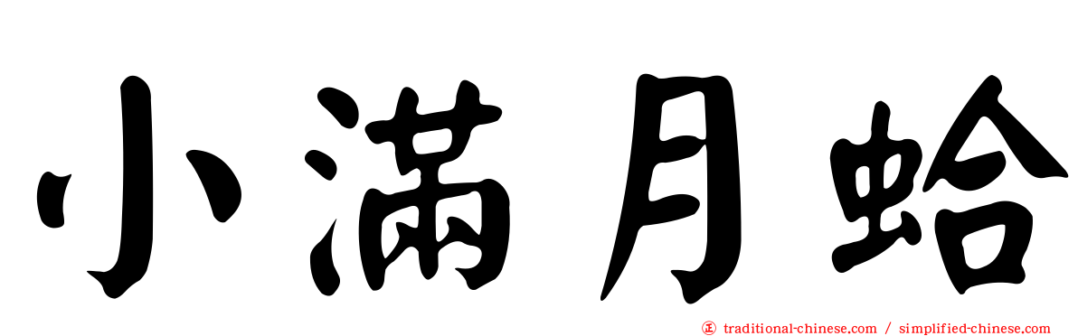 小滿月蛤