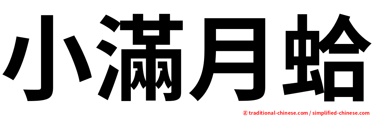 小滿月蛤