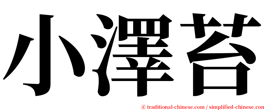 小澤苔 serif font