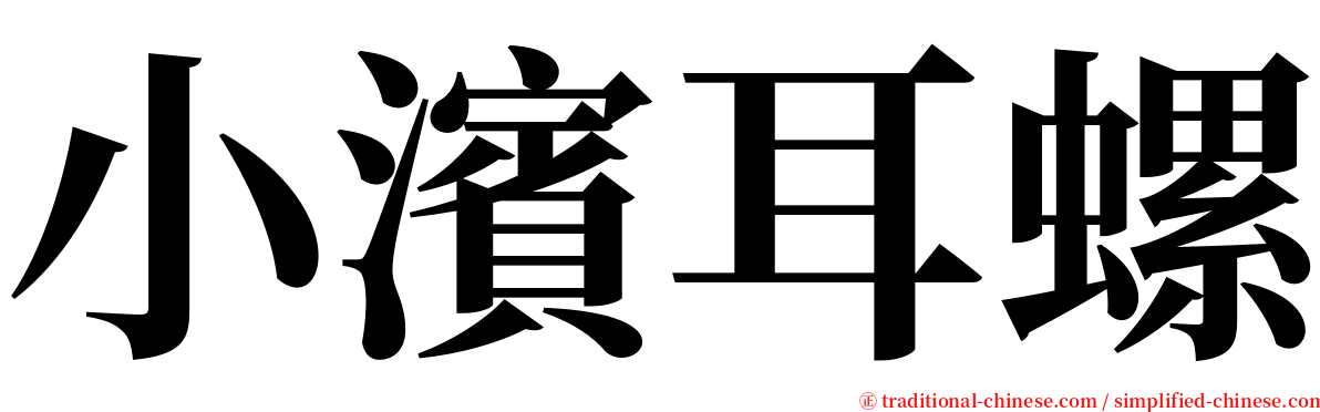 小濱耳螺 serif font