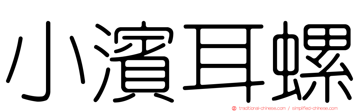 小濱耳螺