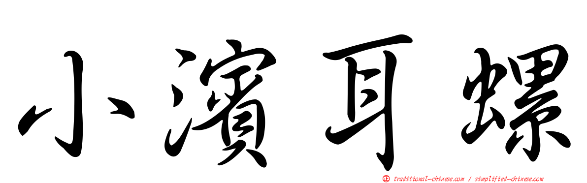 小濱耳螺